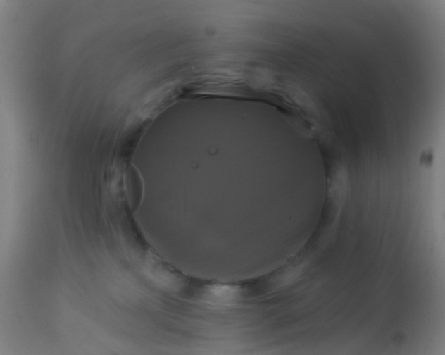 X0000114180233200910221720