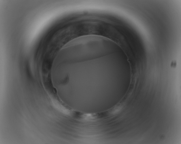 X0000114180239200910221720