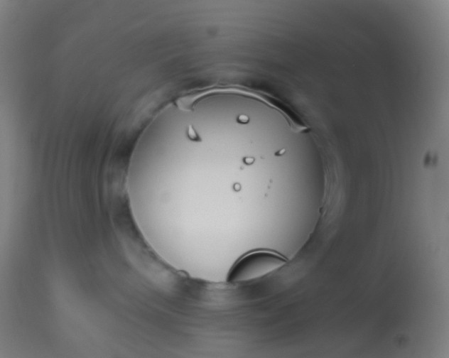 X0000114180240200910221720