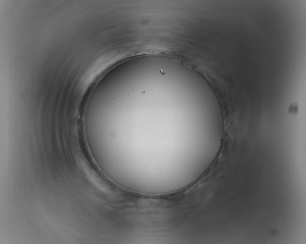 X0000114180242200910221719