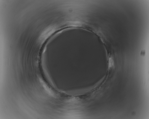 X0000114180243200910221719