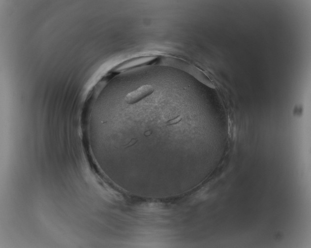 X0000114180244200910221719