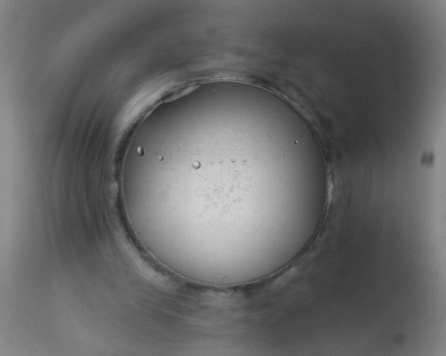 X0000114180245200910221719