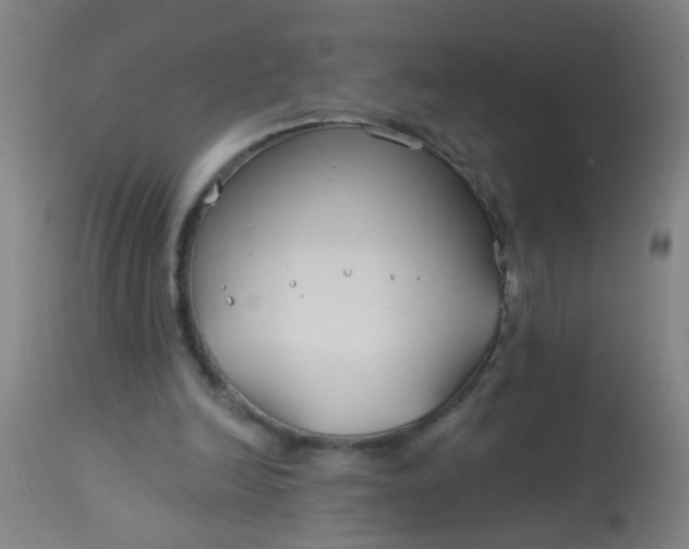 X0000114180246200910221719