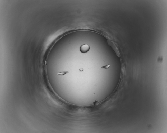 X0000114180248200910221719