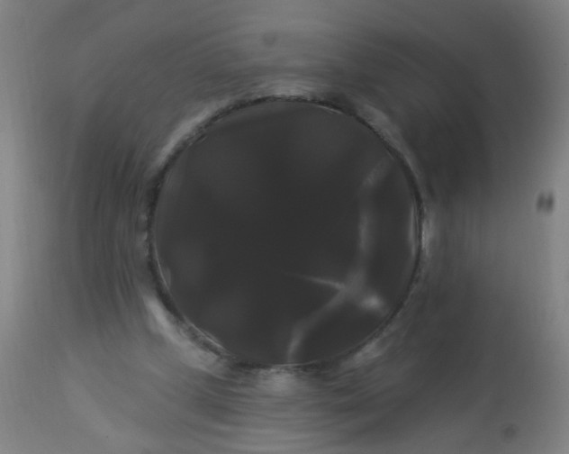 X0000114180249200910221719