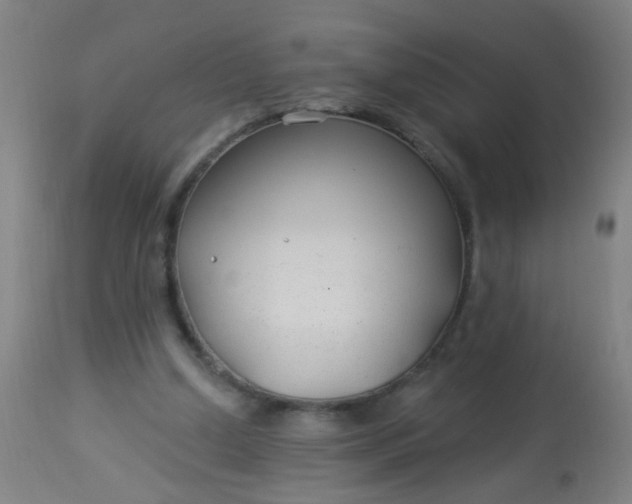 X0000114180250200910221719