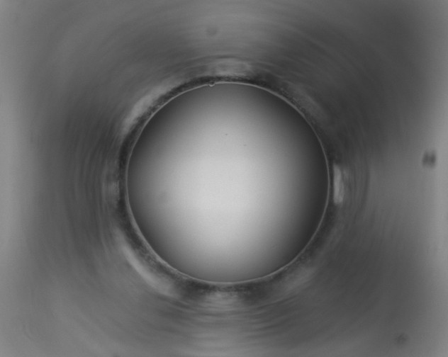 X0000114180252200910221720