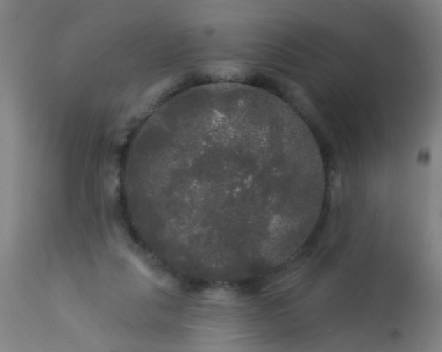 X0000114180259200910221720