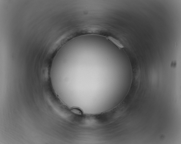 X0000114180262200910221720