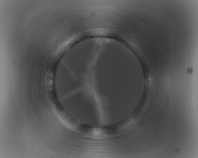 X0000114180264200910221720