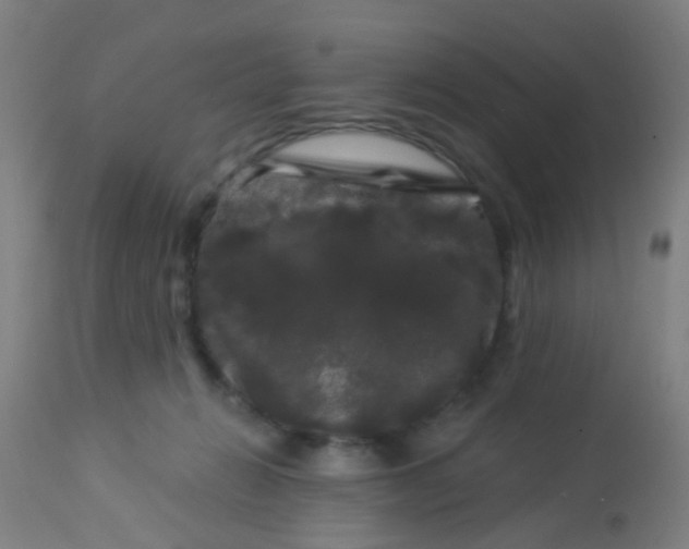 X0000114180270200910221720