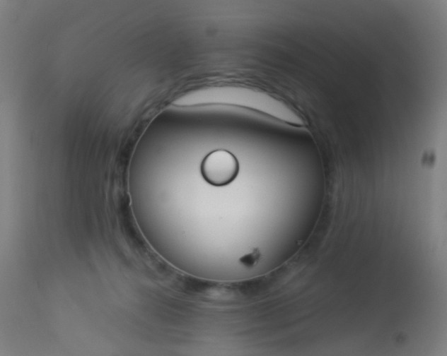 X0000114180272200910221720