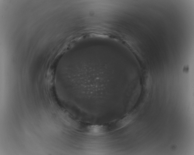 X0000114180273200910221720