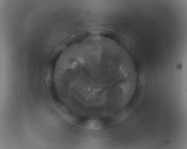 X0000114180275200910221720