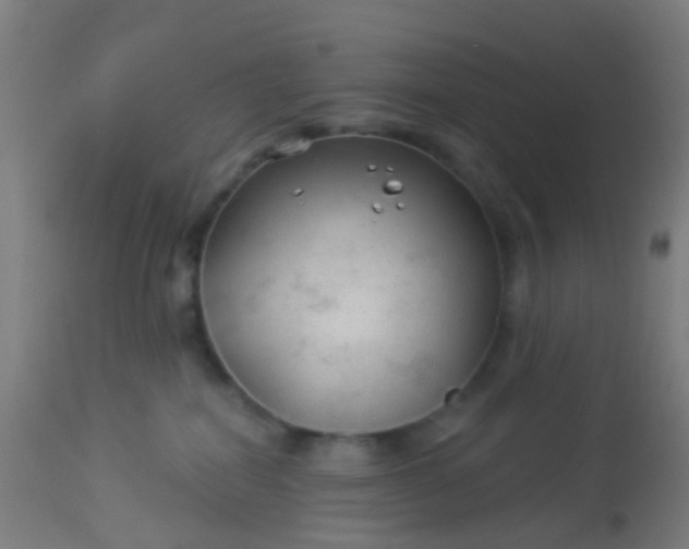 X0000114180282200910221720