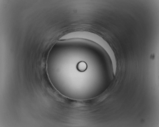 X0000114180284200910221720