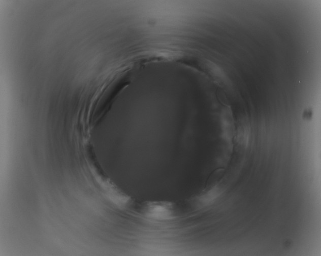 X0000114180285200910221720