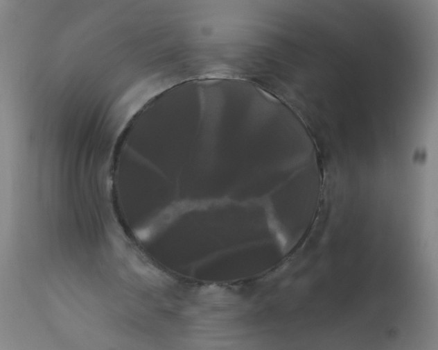 X0000114180290200910221719