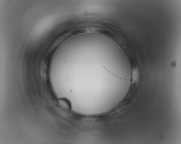 X0000114180291200910221719