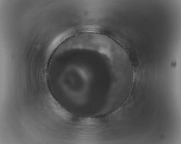 X0000114180293200910221719