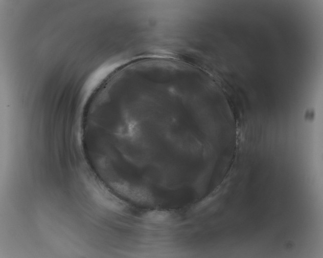 X0000114180294200910221719