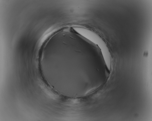 X0000114180295200910221719