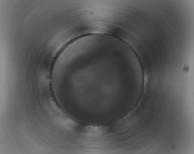 X0000114180297200910221719