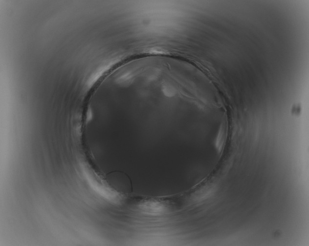 X0000114180299200910221719