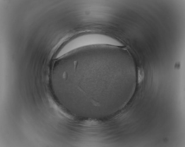 X0000114180300200910221719