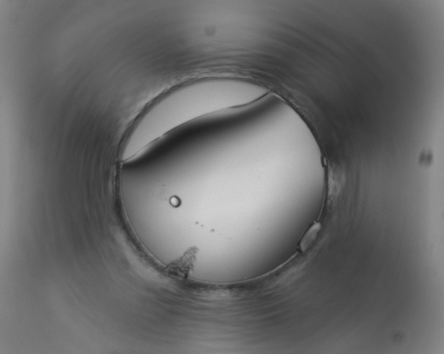 X0000114180301200910221719