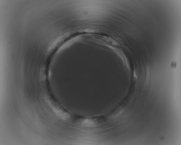 X0000114180303200910221719