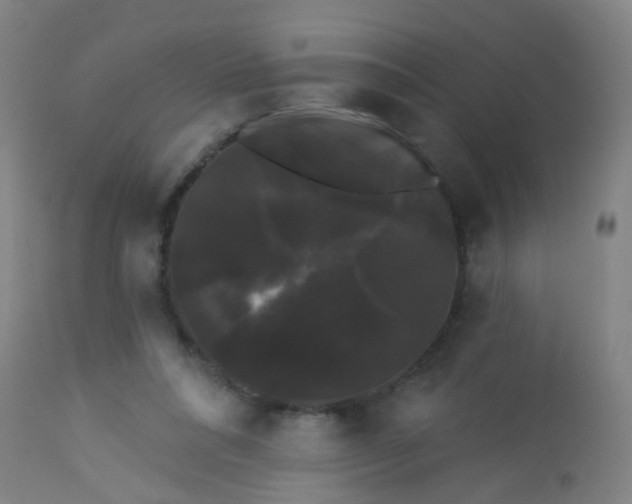 X0000114180304200910221719