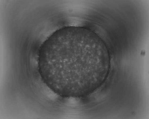 X0000114180305200910221719