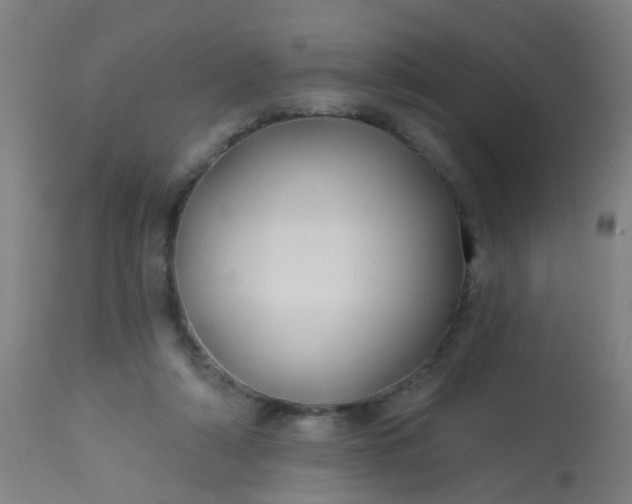 X0000114180306200910221719