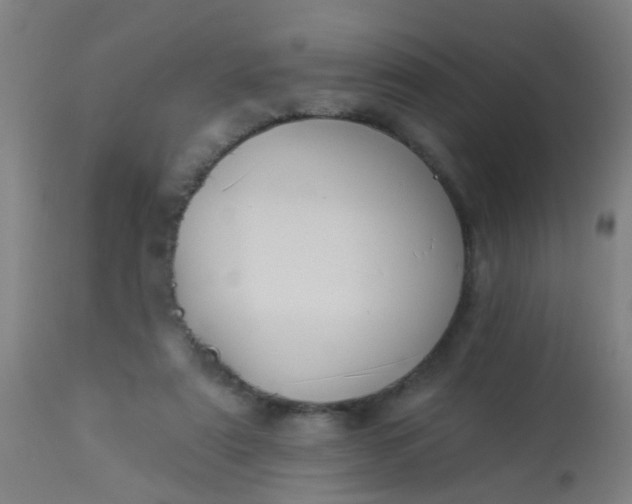 X0000114180307200910221719