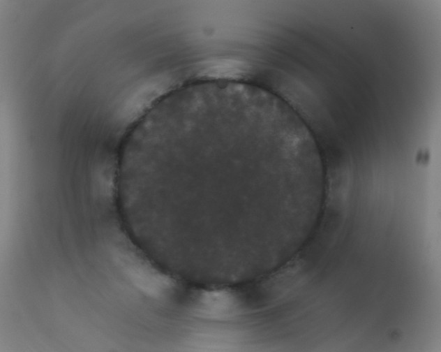 X0000114180309200910221719