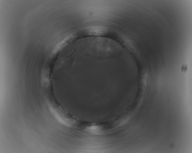 X0000114180312200910221719