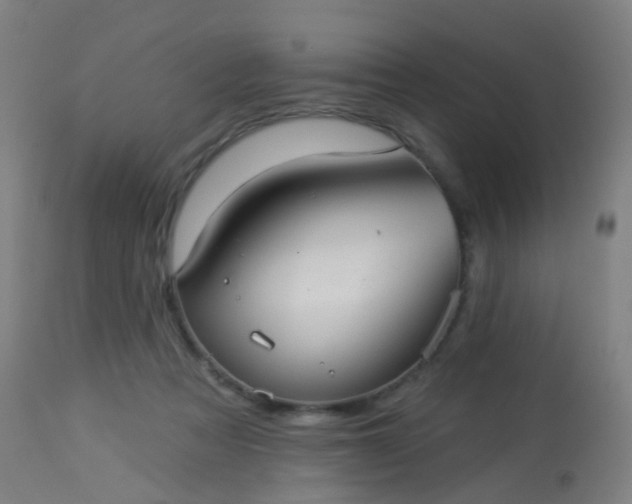 X0000114180313200910221719