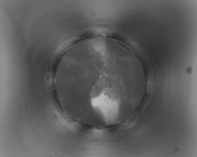 X0000114180314200910221719