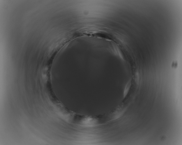 X0000114180319200910221719