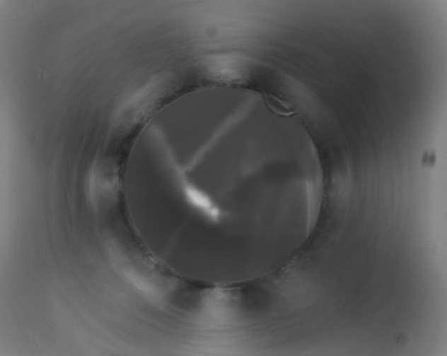 X0000114180320200910221719