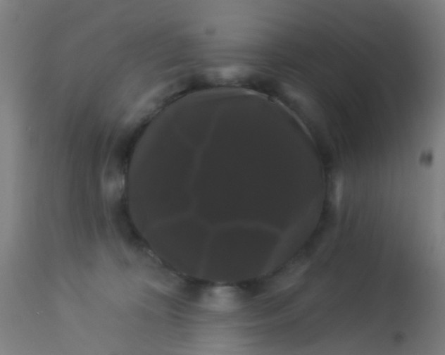 X0000114180324200910221719