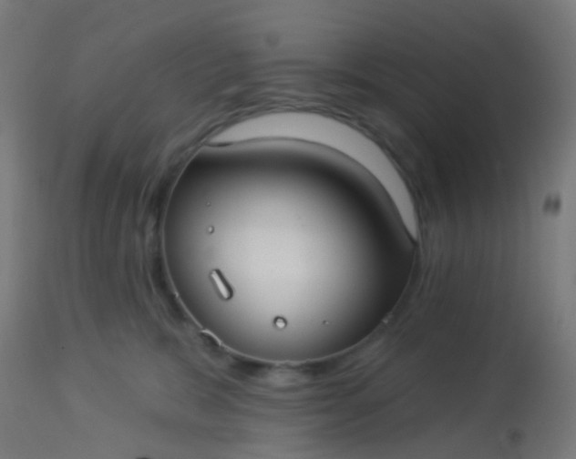 X0000114180327200910221719