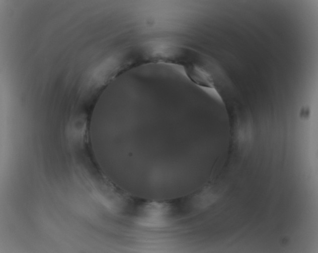 X0000114180328200910221719