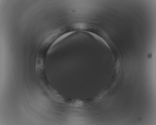 X0000114180330200910221719