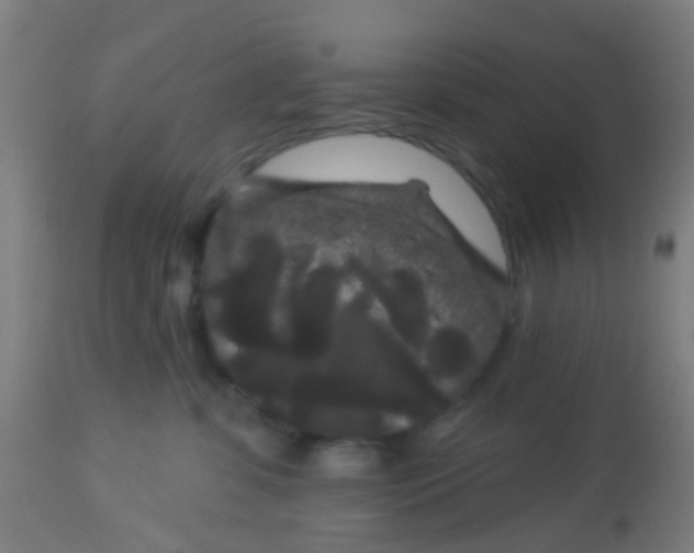 X0000114180331200910221719