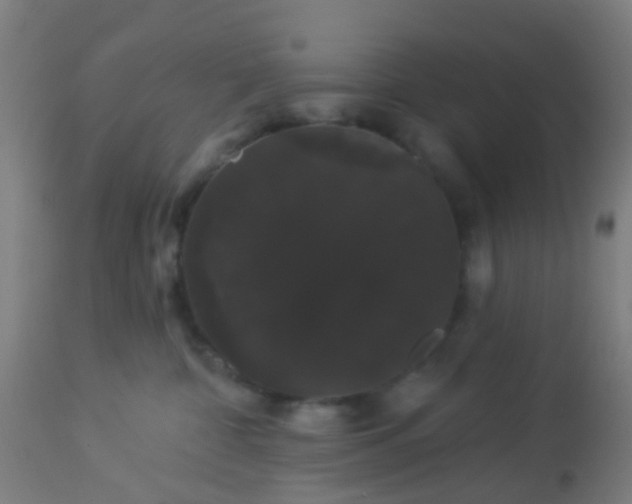 X0000114180332200910221719