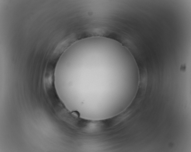 X0000114180334200910221719