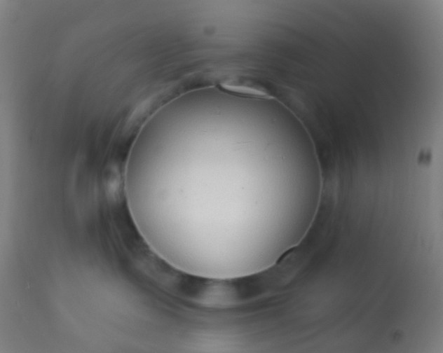 X0000114180335200910221719